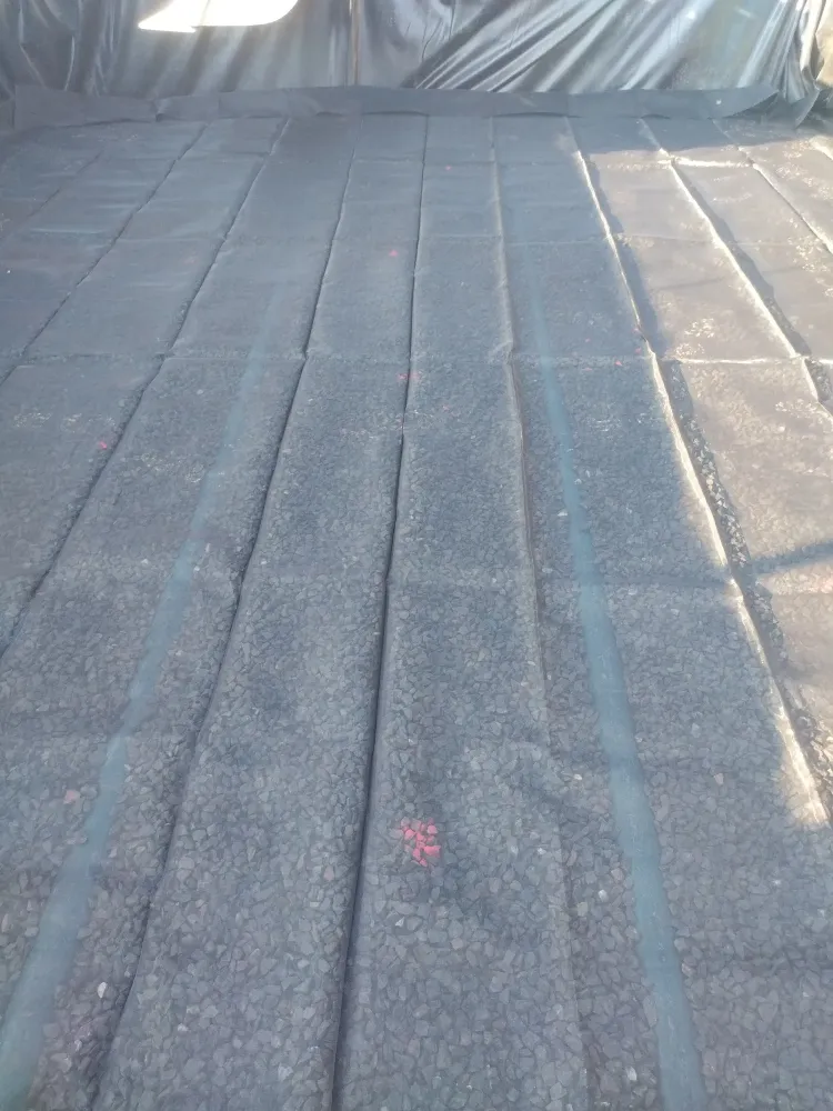 Guillaume roullier assainissement (1)